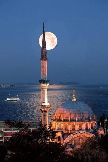 د لیتل پرنس