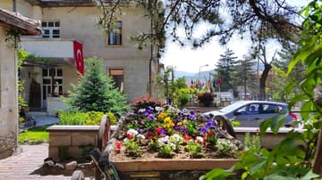 یلدیز