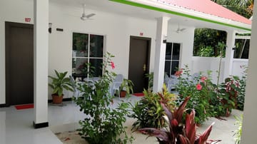 Garden view