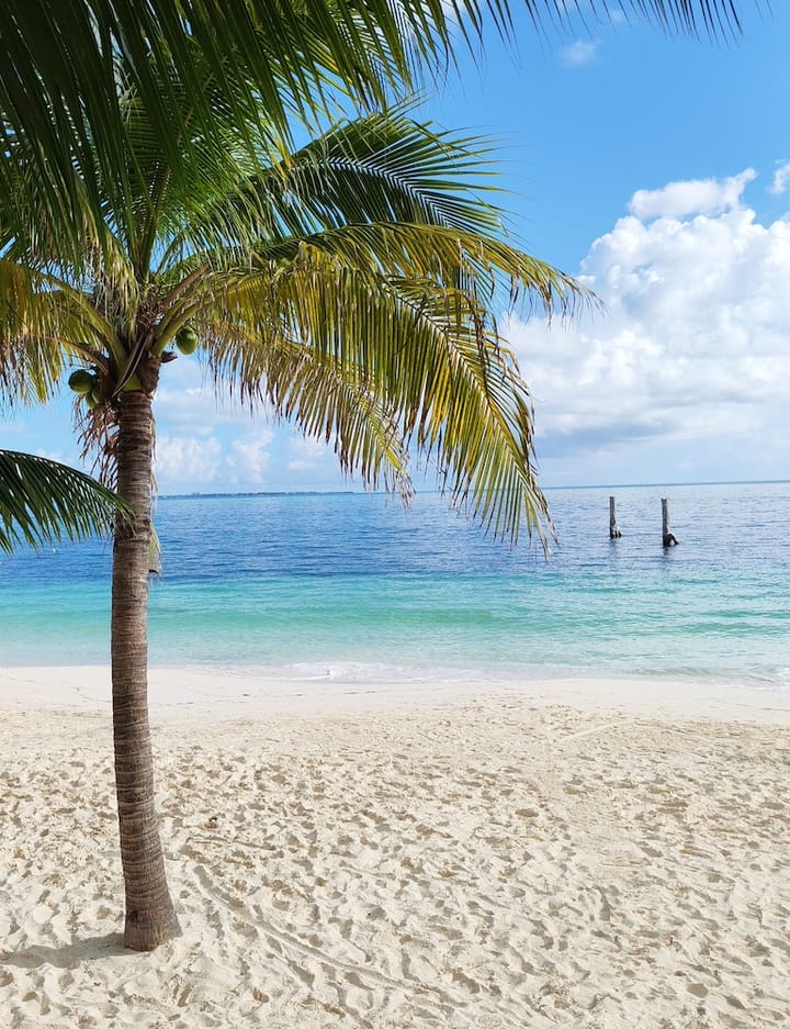 Hotel Maya Caribe Faranda