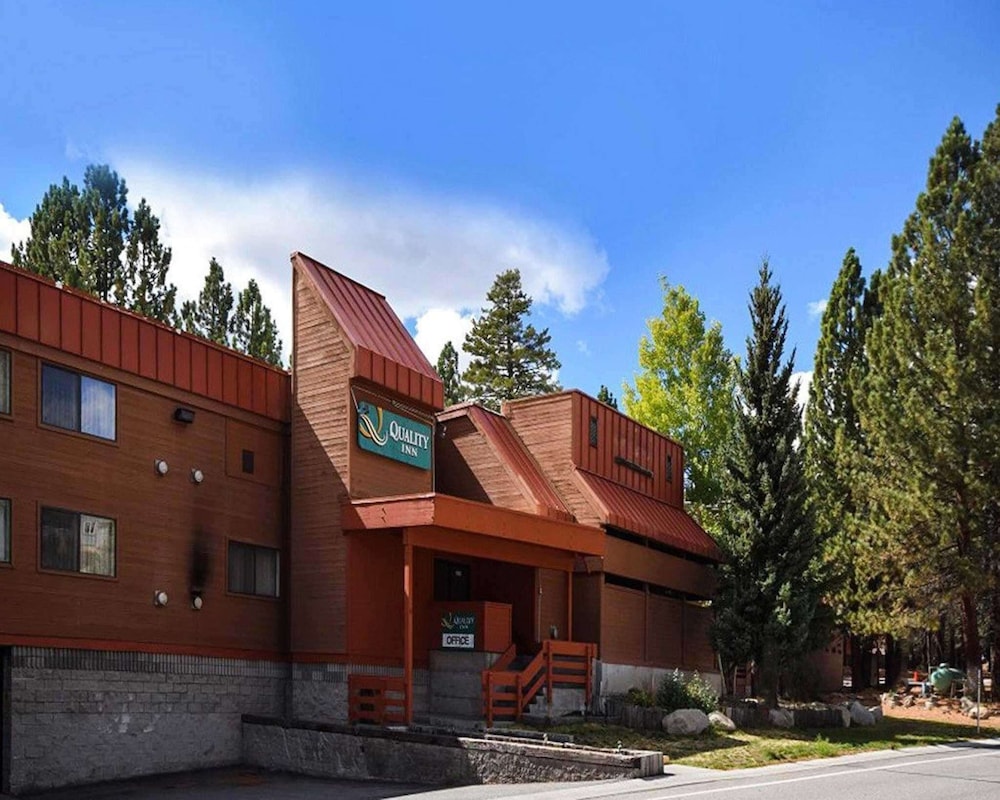 Primary image