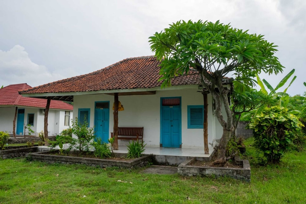 Primary image