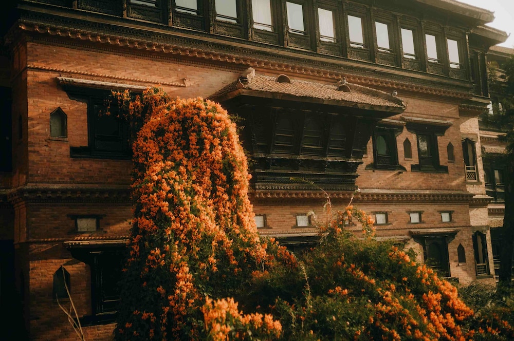 Primary image
