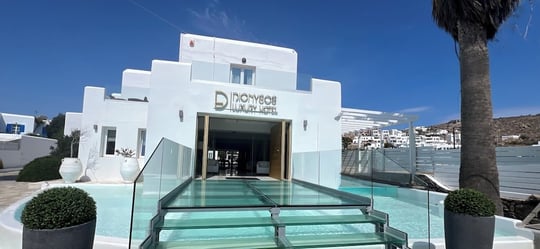 Dionysos Luxury Hotel Mykonos