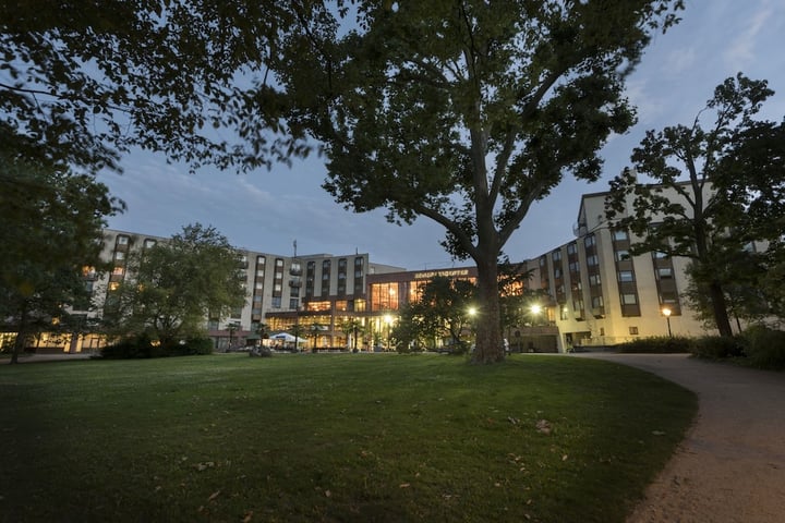 Primary image