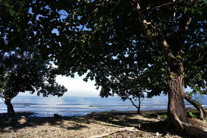 Primary image